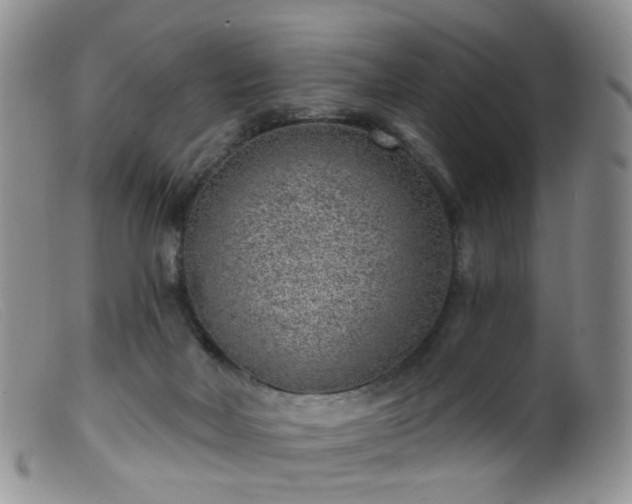 X0000099480026200805161145