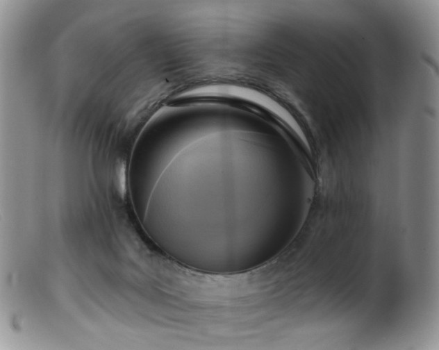 X0000099480027200805161145