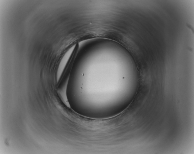 X0000099480028200805161145