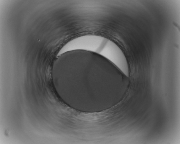 X0000099480029200805161145