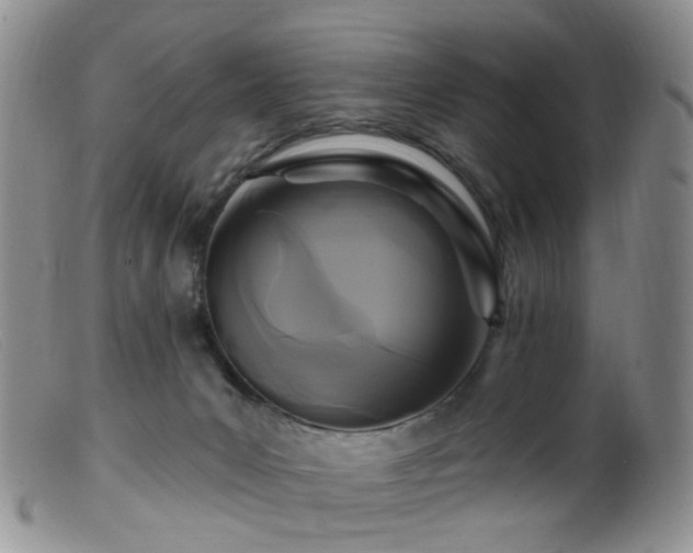 X0000099480031200805161145