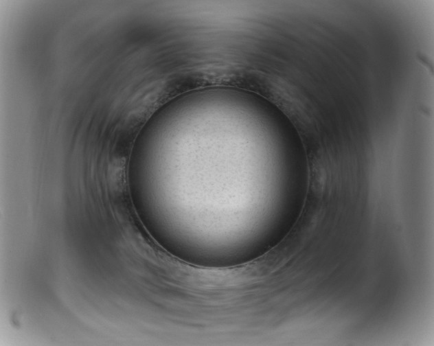 X0000099480034200805161145