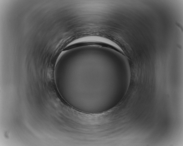 X0000099480035200805161145