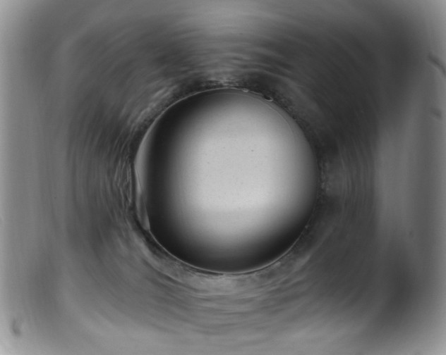 X0000099480036200805161145