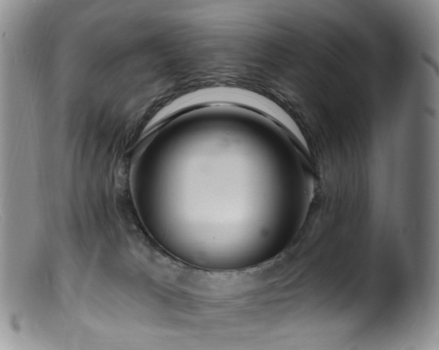 X0000099480037200805161145
