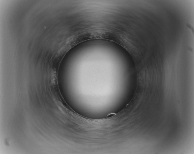 X0000099480038200805161145