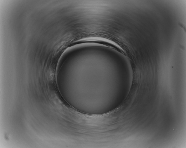 X0000099480039200805161145