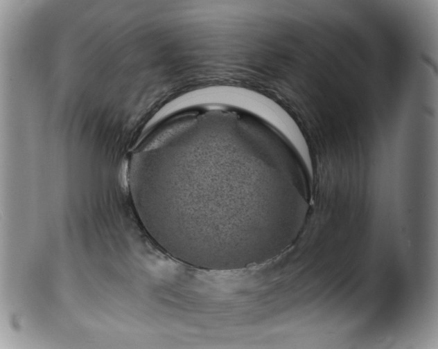 X0000099480041200805161145