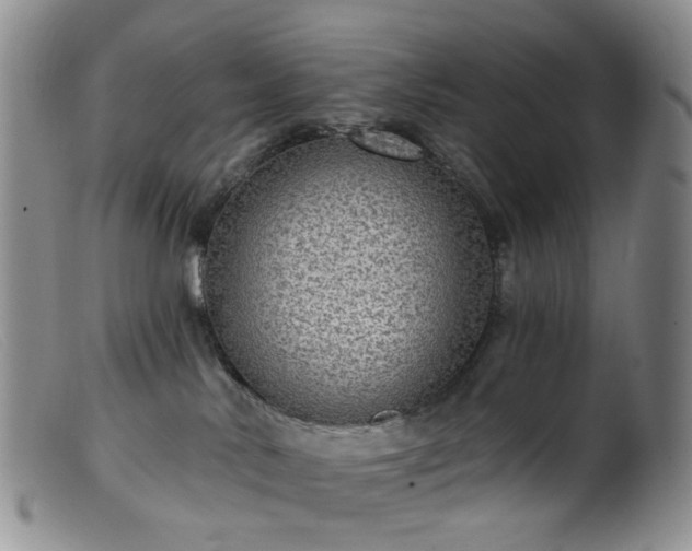 X0000099480042200805161145