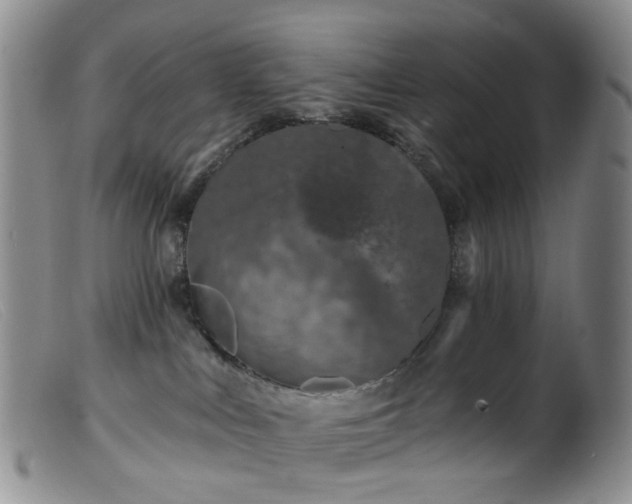 X0000099480043200805161145