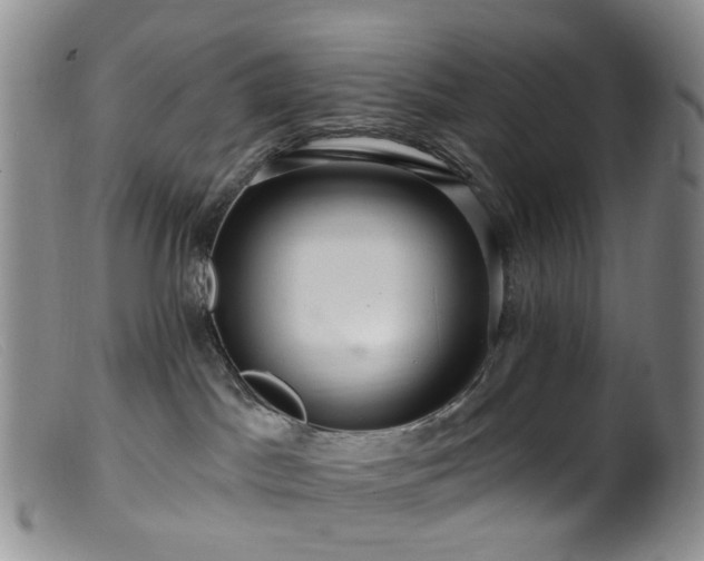 X0000099480045200805161145