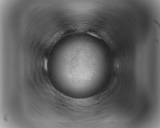 X0000099480046200805161145
