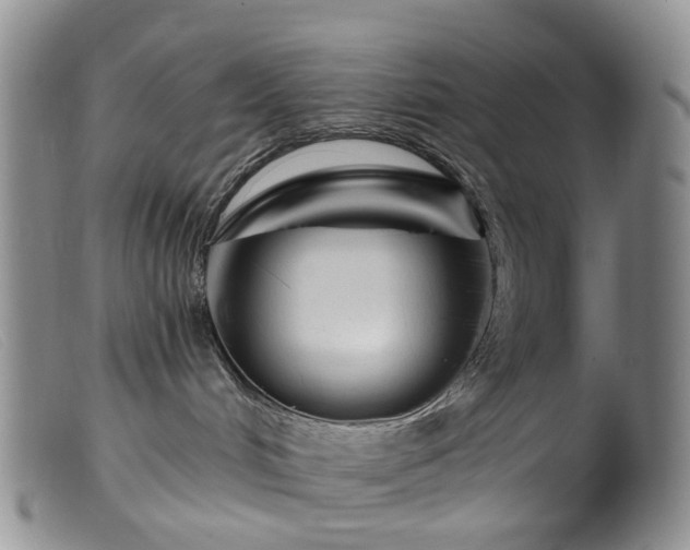 X0000099480048200805161145