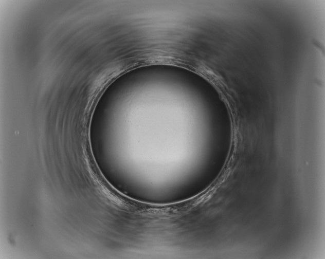 X0000099480049200805161144