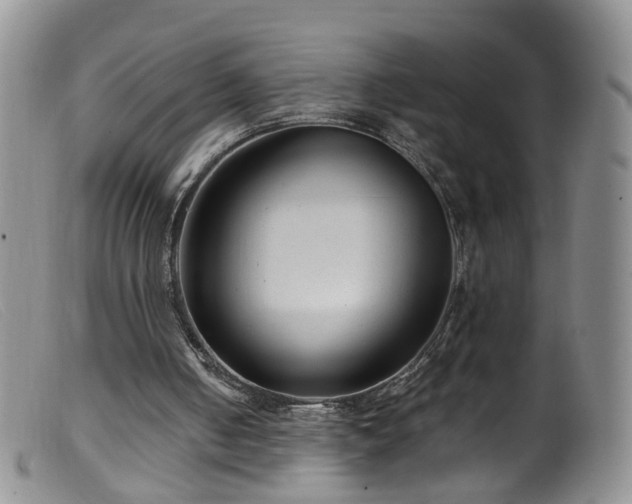 X0000099480050200805161144