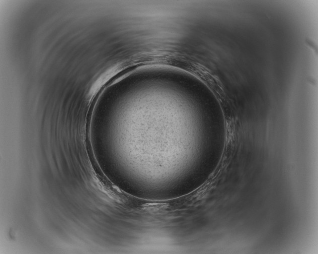 X0000099480051200805161144