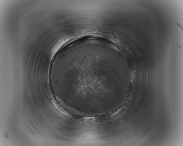 X0000099480052200805161144