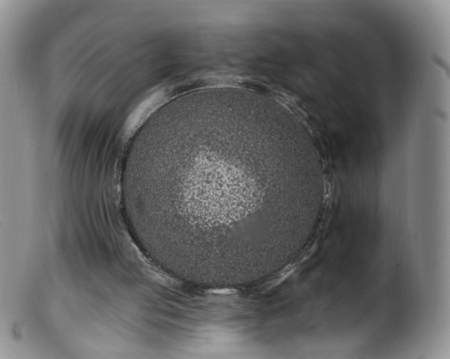 X0000099480053200805161144