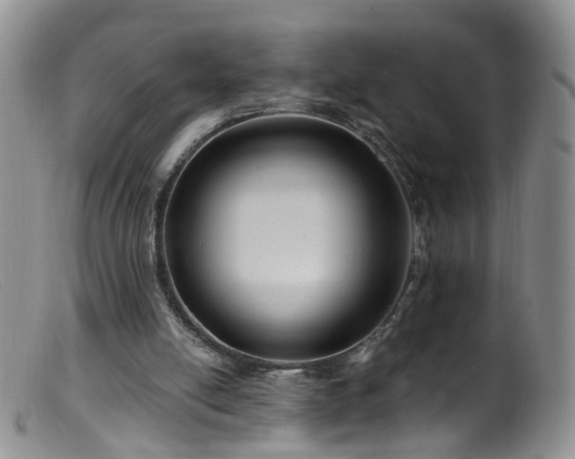 X0000099480054200805161144
