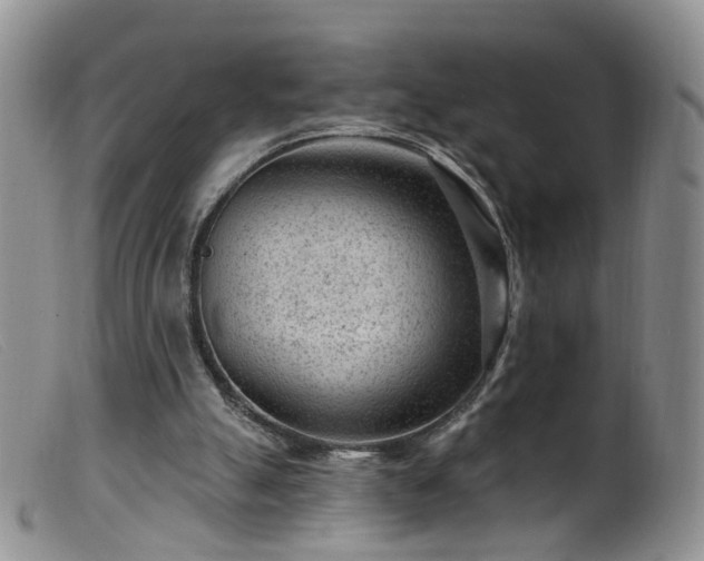 X0000099480055200805161144