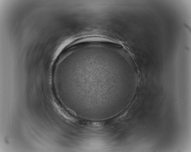 X0000099480056200805161144