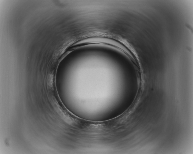 X0000099480057200805161144