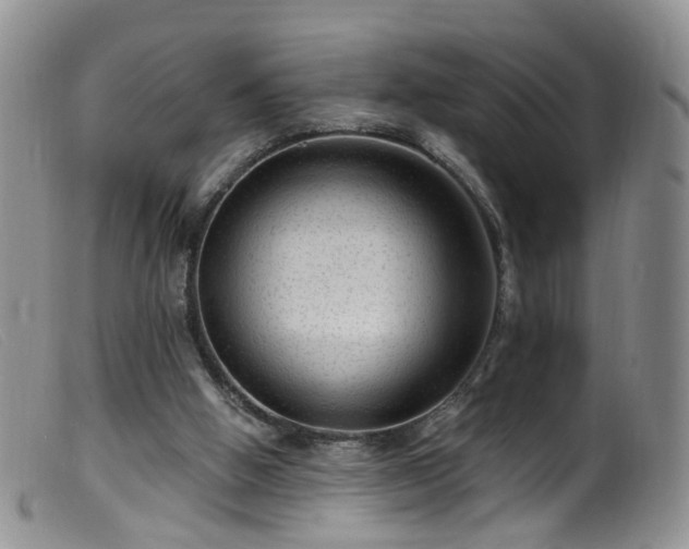 X0000099480058200805161144