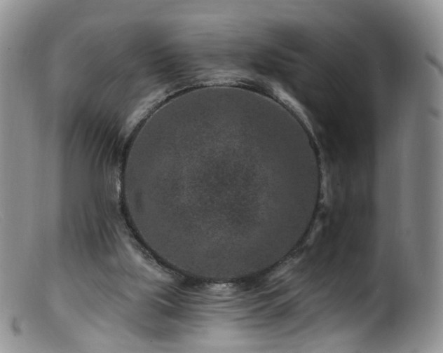 X0000099480059200805161144