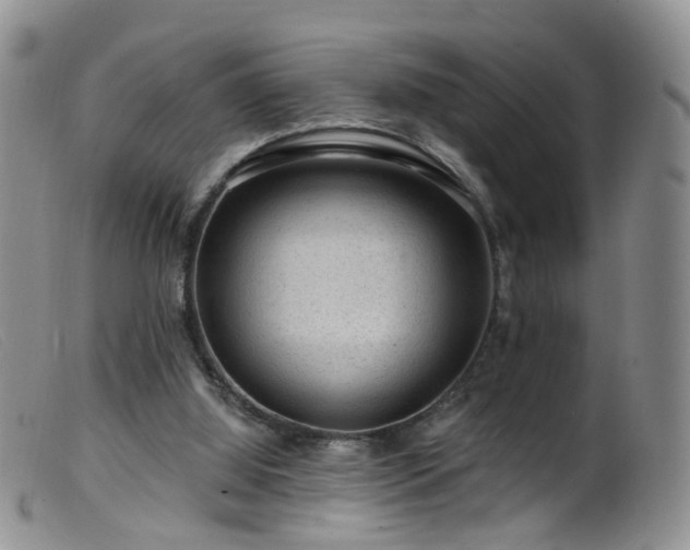 X0000099480060200805161144