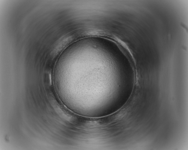 X0000099480061200805161144