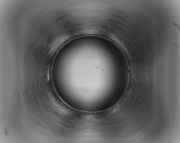 X0000099480062200805161144