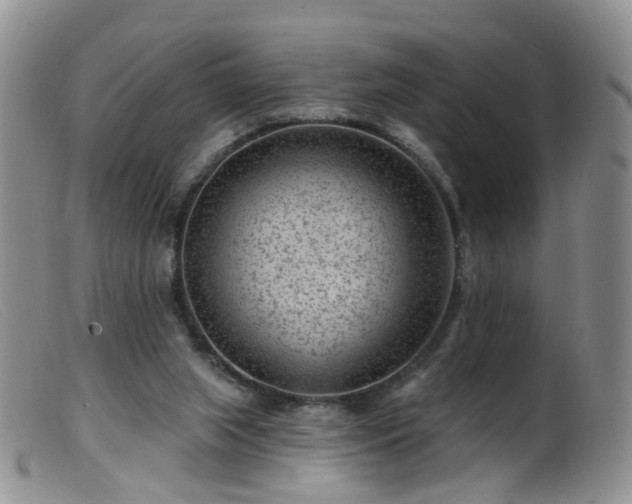 X0000099480063200805161144