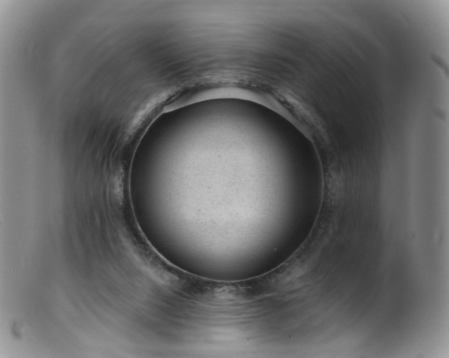X0000099480064200805161145