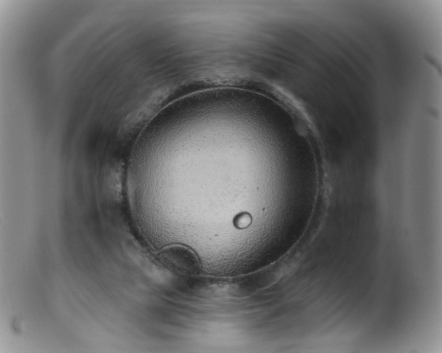 X0000099480065200805161145