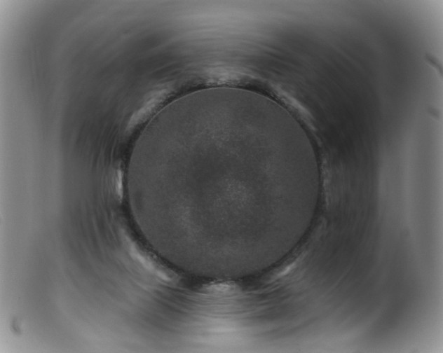 X0000099480067200805161145