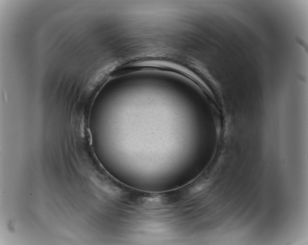 X0000099480068200805161145