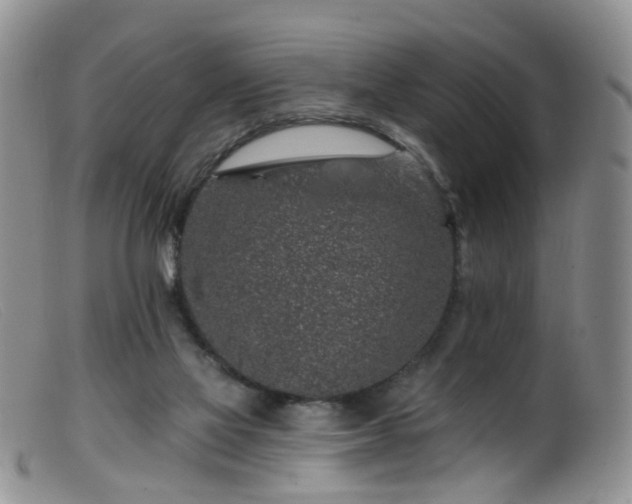 X0000099480069200805161145
