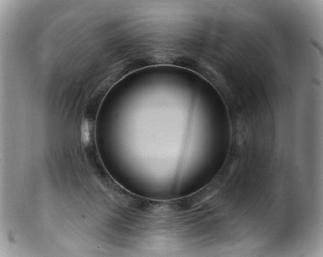 X0000099480075200805161145