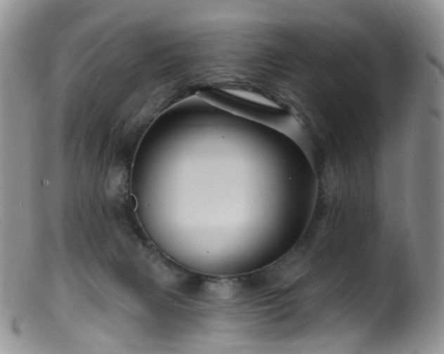 X0000099480079200805161145