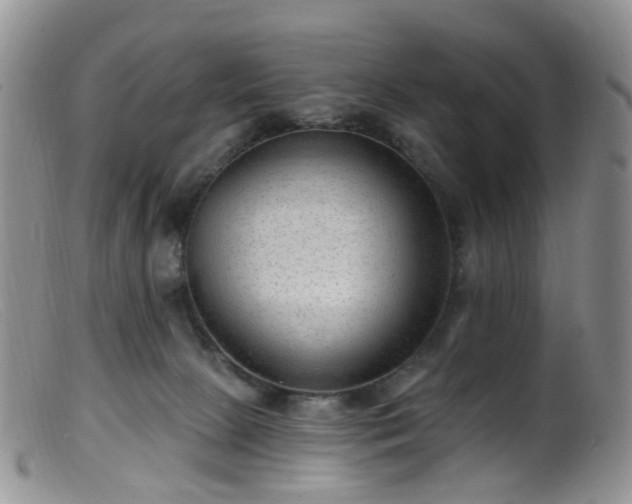 X0000099480081200805161145