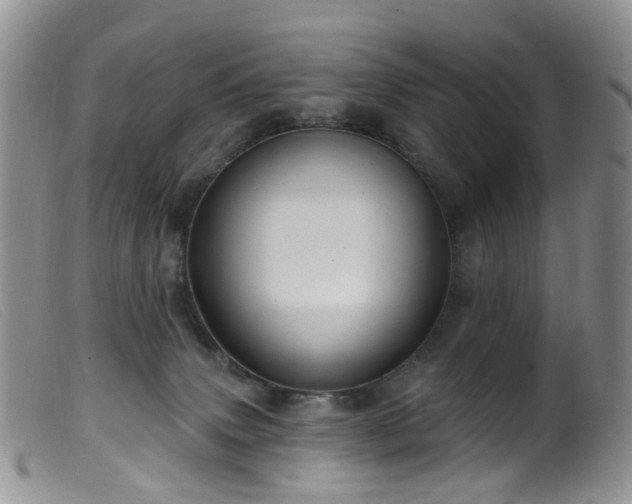 X0000099480083200805161145