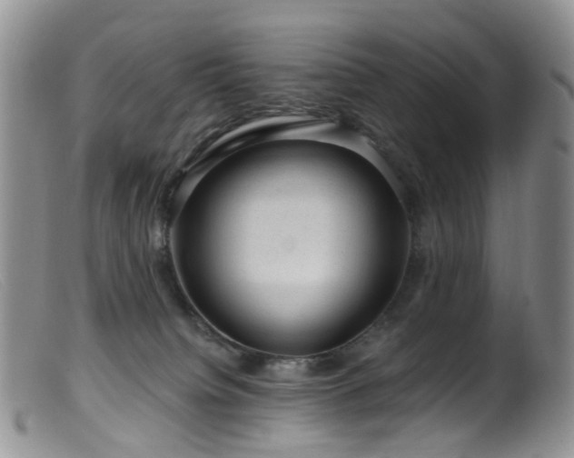X0000099480084200805161145