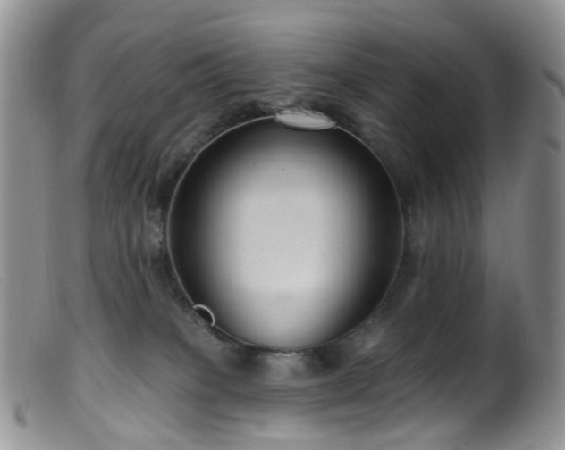X0000099480085200805161145