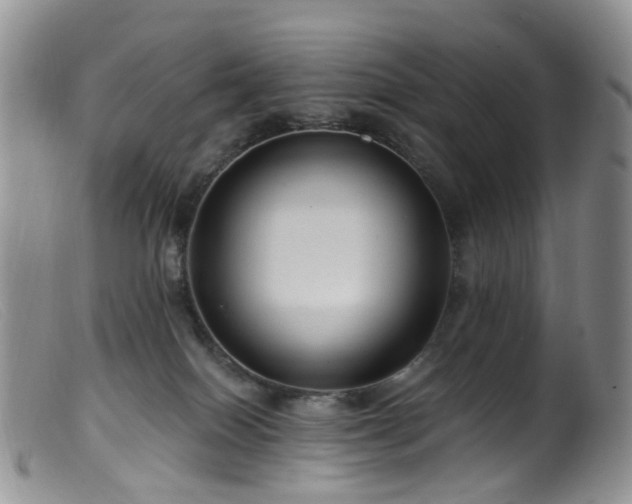X0000099480086200805161145