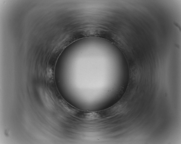 X0000099480087200805161145
