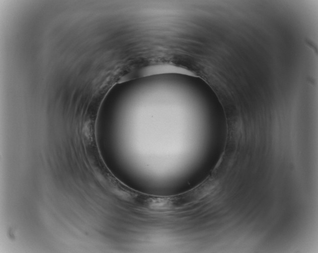 X0000099480088200805161145