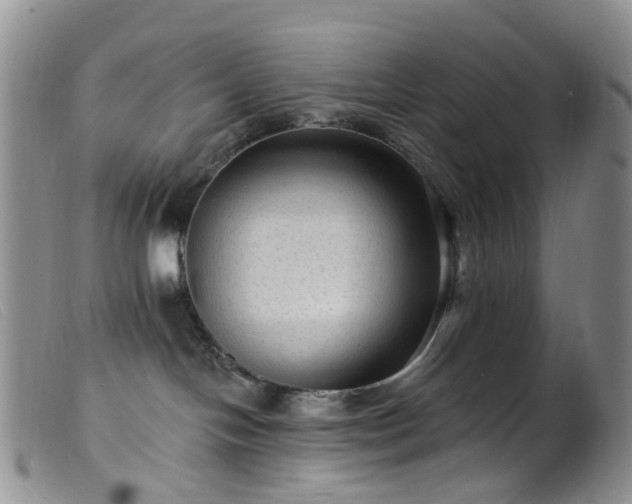 X0000099480094200805161145