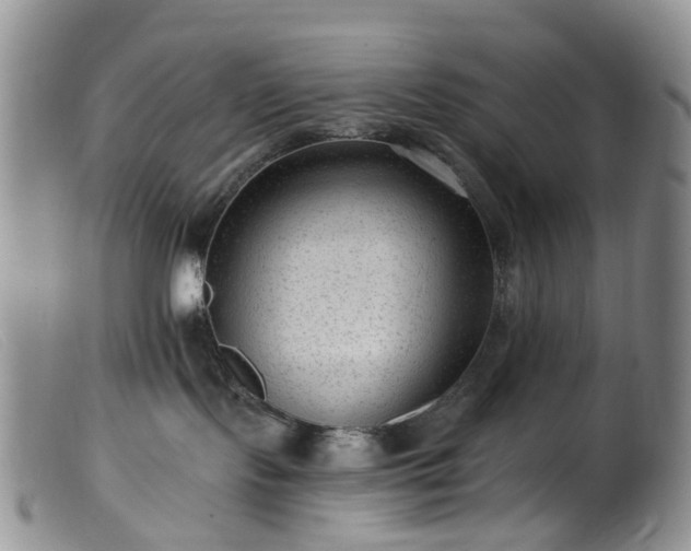 X0000099480095200805161145