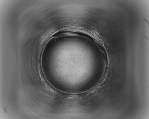 X0000099480097200805161144
