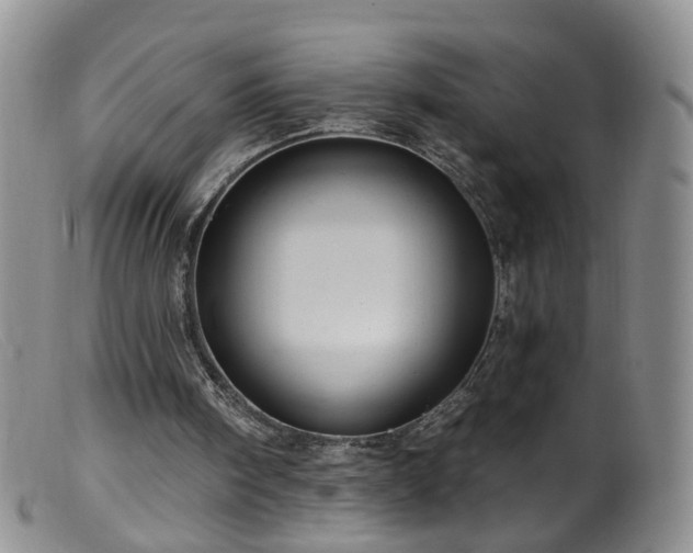 X0000099480098200805161144